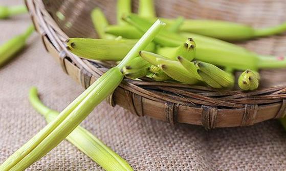 黄花菜的营养价值高 黄花菜的美味吃法-三图集